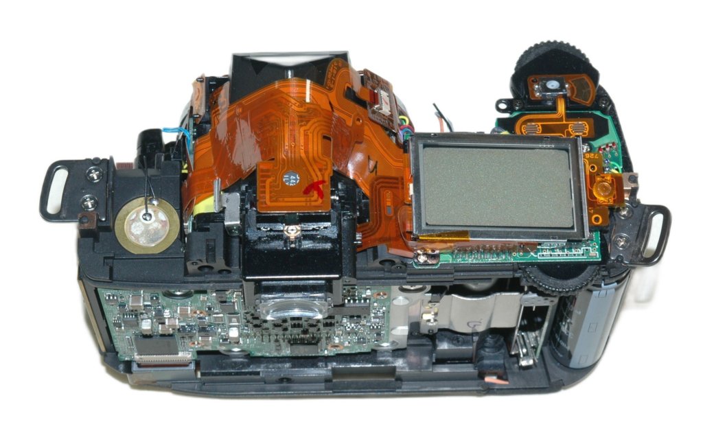 d70notop_back_up.jpg