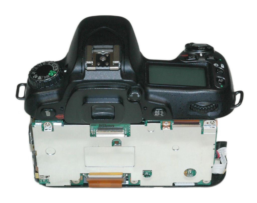 d80back_up_shield.jpg